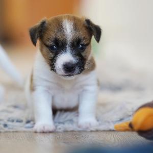 4weeks 